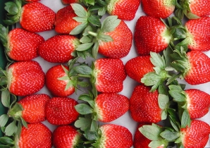 有機草莓